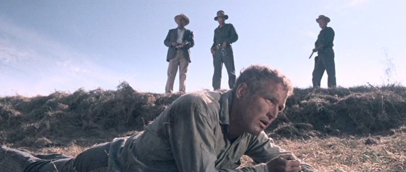 Cool Hand Luke